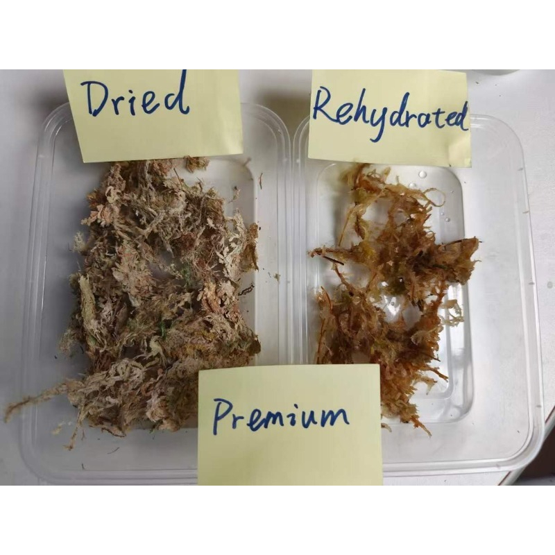 Premium Sphagnum Moss for Orch - огляд і ціна Sphagnum Moss Dry